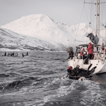 Live From Norway – Early Expedition